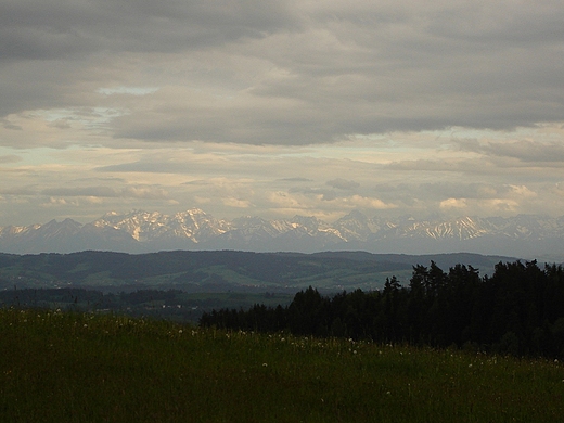 Widok na Tatry z okolic towni