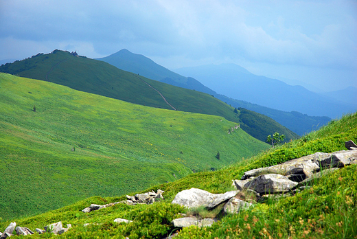 Poonina Wetliska. Bieszczady