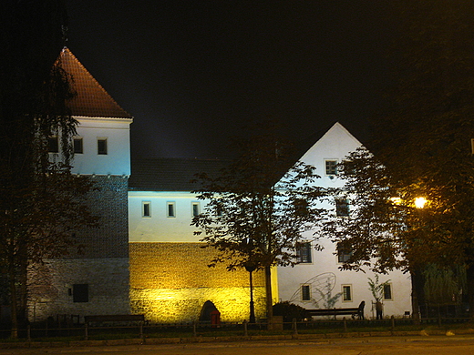 Zamek Piastowski. Gliwice