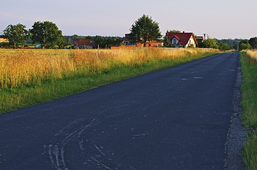 Droga Strzelno - kieOstrowo