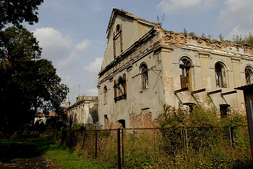 Ruiny synagogi w Działoszycach