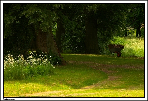 Mikuszewo - park krajobrazowy obok neorenesansowego paacu z ok.1890 r