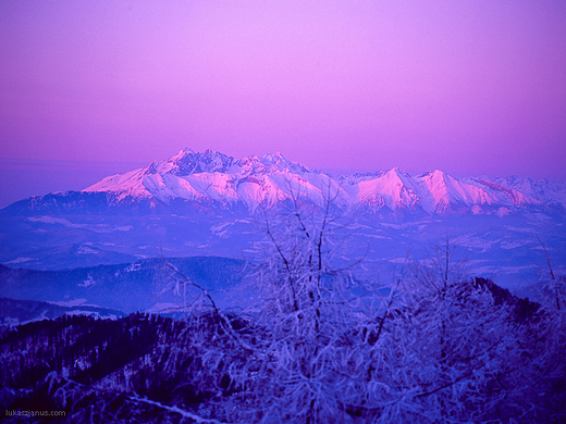 Widok na Tatry bardzo wczesnym porankiem