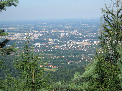 Bielsko Biaa
