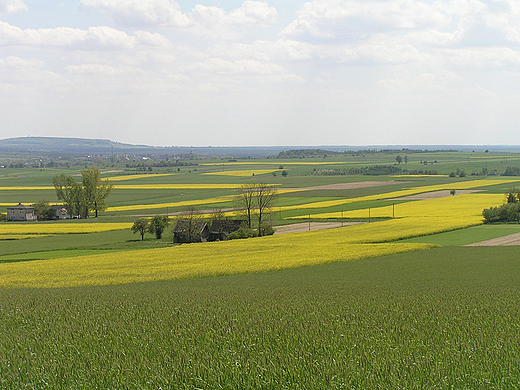 Widok z Bkowej Gry