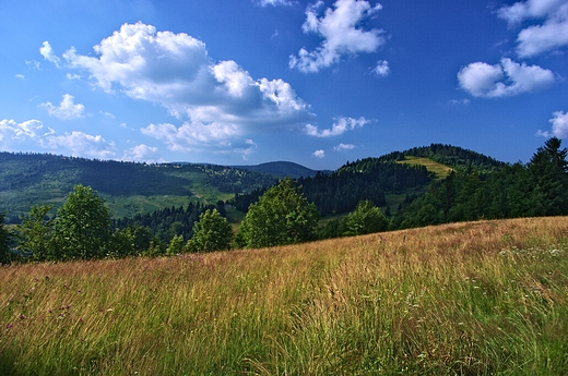 Wejcie w Beskid ywiecki ze strony Zwardonia