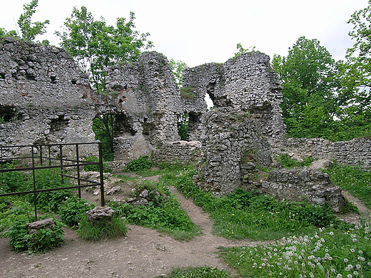 Ruiny zamku w Smoleniu