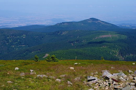 Czarna Gra widziana ze nienika