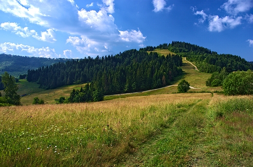 szlak od Zwardonia w stron Wielkiej Raczy