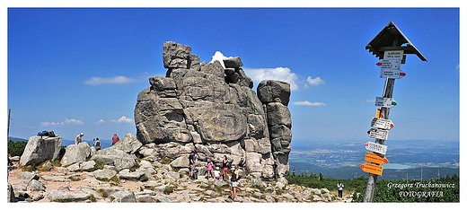 Sonecznik
