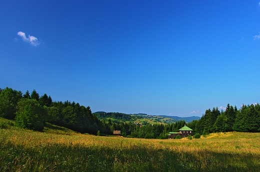 Zwardoskie polany