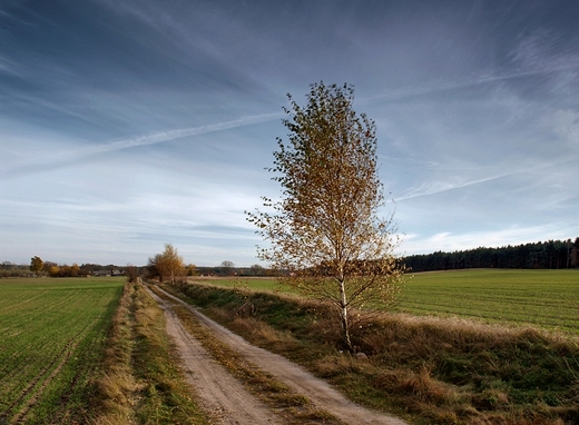 Jesienną drogą