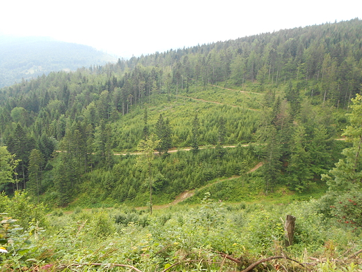 Tyle drg do przejcia- w Beskidzie ywieckim