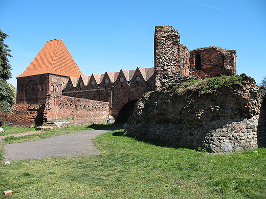Zamek w Toruniu