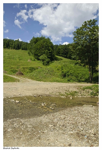 Na szlaku do Bacwki nad Wierchoml