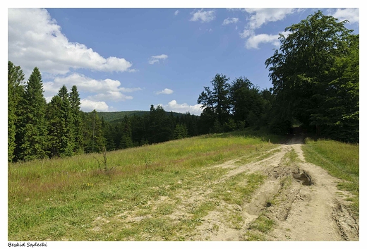 Na szlaku do Bacwki nad Wierchoml