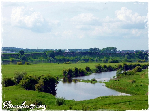 Badowo - Starorzecze wisy.