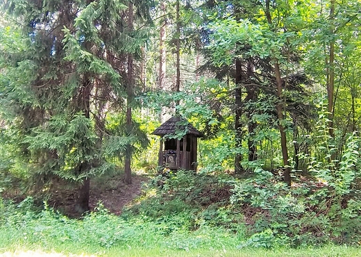 Kapliczka przy drodze do Krasnobrodu