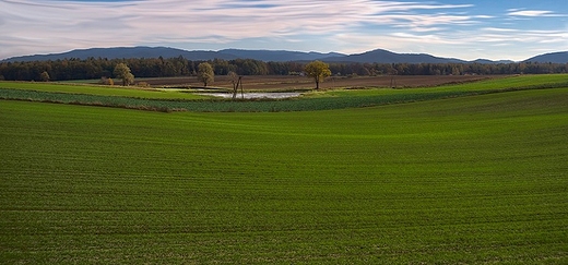 W drodze na Cieszyn...