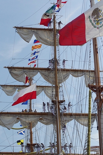 Tall Ships Races 2013 - Szczecin