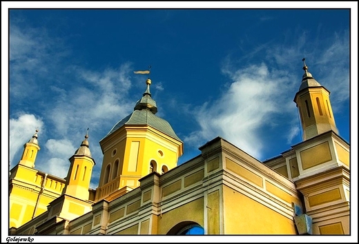 Golejewko - paacowe szczegy architektotniczne