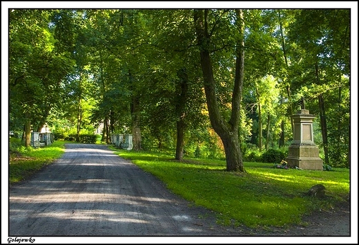 Golejewko - zaoenie paacowe_ zabytkowy park