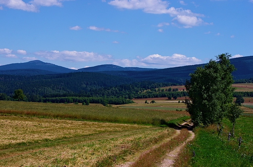 wiejski szlak w stron nienika