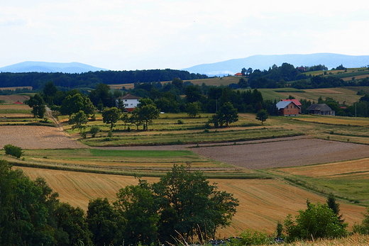 Widok z Brzezia