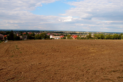 Widok z Brzezia