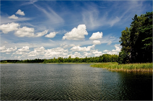 Lato na Suwalszczynie -Jezioro Czarne k.Krzywego.
