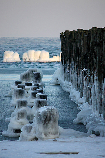 Gdynia - Babie Doy