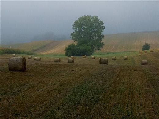 Koniec lata...