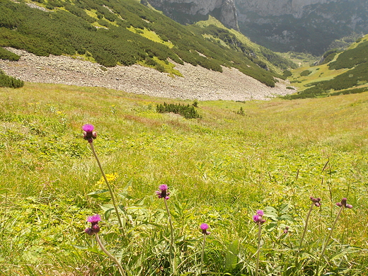 Czerwonym szlakiem na Giewont