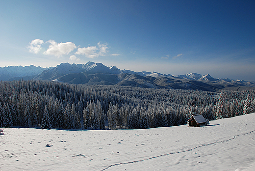 Panorama Tatr z Godwki. Brzegi, Bukowina Tatrzaska