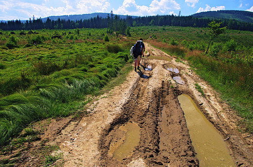 Trawa, boto i gry