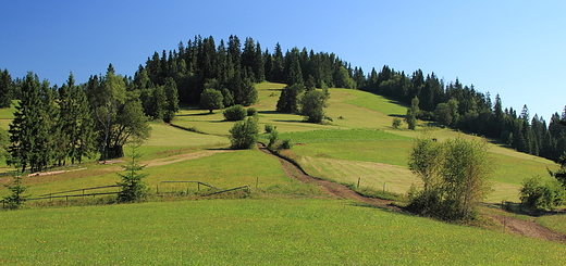 W apszance na Spiszu.