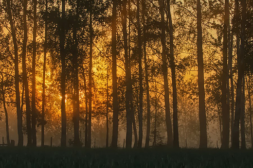 Magia Podlasia.