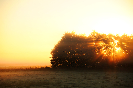 Nadnarwia�skie wschody s�o�ca nigdy mi si� nie znudz�. Zw�aszcza w porannych mg�ach