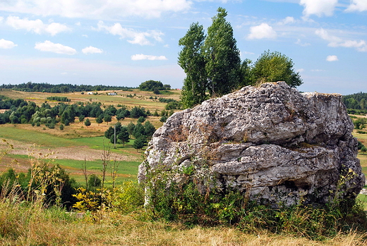 Mirw. Ostaniec skalny.