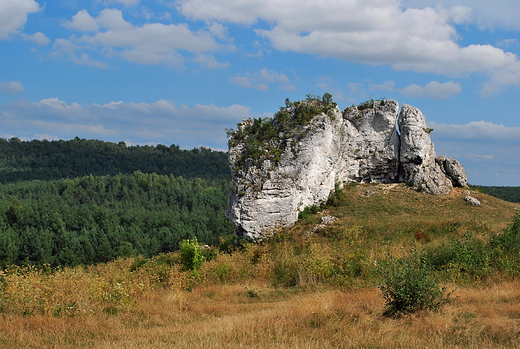 Skaa w okolicach ruin zamku w Mirowie.