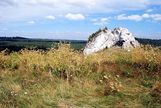 Jura w okolicy Mirowa.