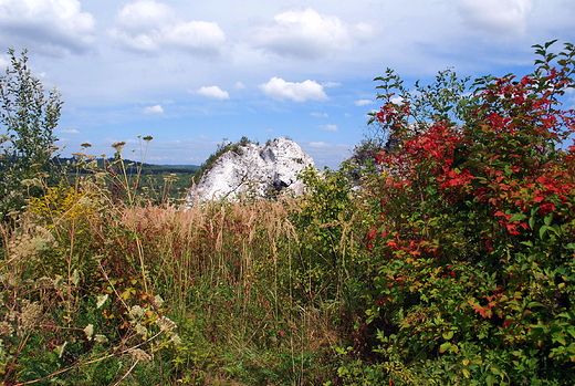 Mirw. Jurajskie klimaty.