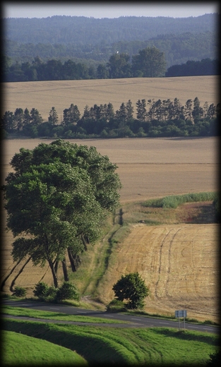 widoki z Kaszubskiego Oka