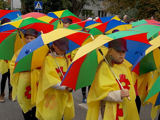 Skierniewice. XXXVI Skierniewickie wito Kwiatw, Owocw i Warzyw.