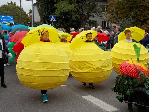 Skierniewice. XXXVI Skierniewickie wito Kwiatw, Owocw i Warzyw.