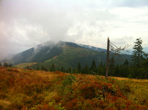 Romanka podziwiana ze  szczytu  Rysianki. Beskid  ywiecki