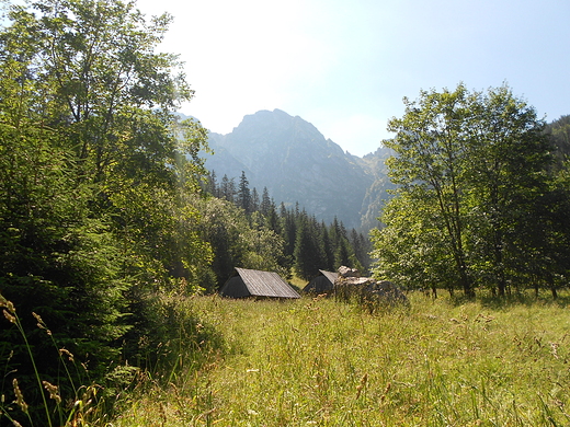 Polana Stryska