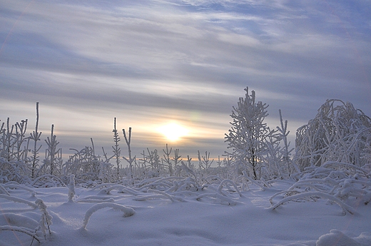 Zimka w Cianowicach. Jura Krakowsko-Czstochowska