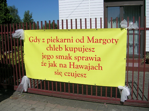 Doynki miejskie 2013 - Zabrze