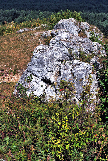 Ostaniec skalny w pobliu ruin mirowskiego zamku.
